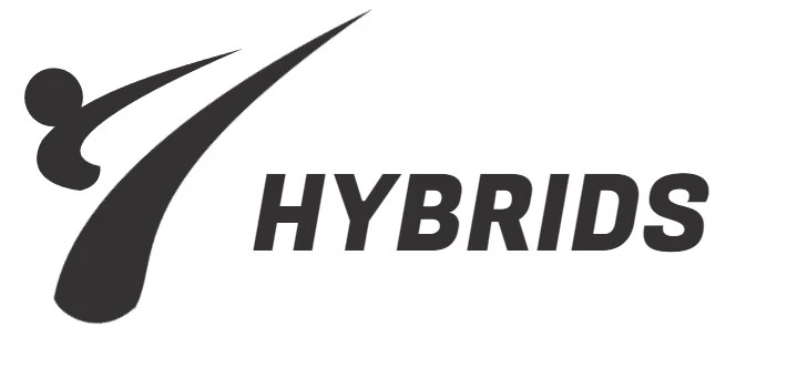 Hybrid car dealer